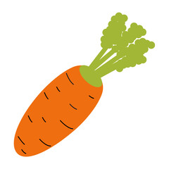 Carrot vegetables icon vector illustration