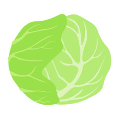 cabbage vegetables icon vector illustration