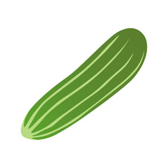 cucumber vegetables icon vector illustration