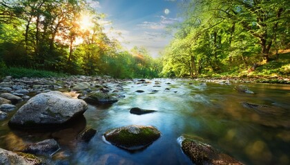 Obraz premium 自然の中の渓流Mountain Stream in Nature