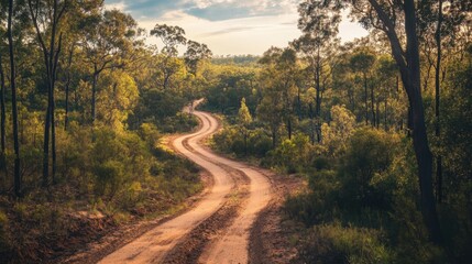 A sandy off-road track winds through the dense outback forest, framed by tall trees and rugged wilderness under a bright sky