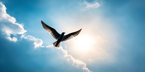 Obraz premium A bird soaring freely through the sky, its wings fully spread against a backdrop of fluffy clouds and blue sky