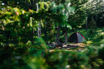 a tourist tent in the Altai mountain forests