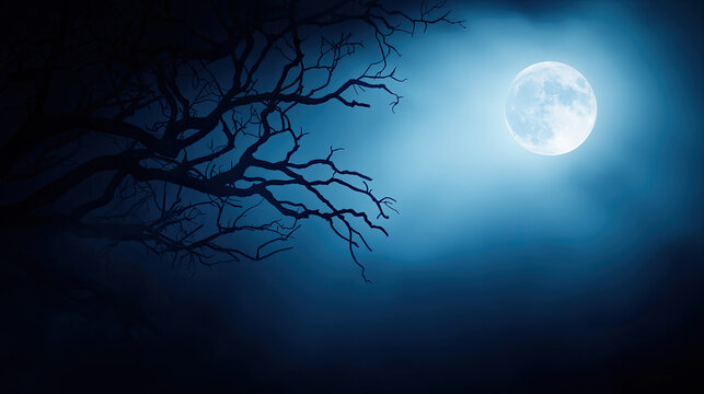 Eerie nightscape featuring a full moon illuminated by mist and silhouetted branches, creating an atmospheric and mysterious scene.
