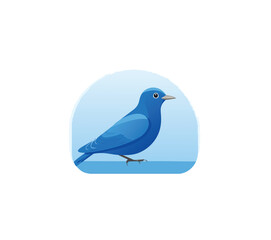 Obraz premium blue bird on white background
