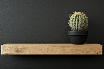 A Potted Cactus Sitting on a Wooden Shelf Against a Black Wall