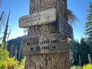 wooden signpost in national forest on pacific crest trail pct © Caroline