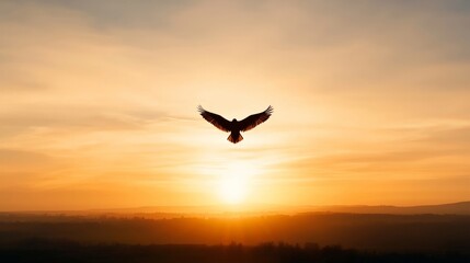 Fototapeta premium A lone bird flying high over an open landscape, its silhouette framed by the golden light of the setting sun