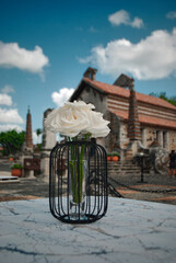 street lamp in the park Altos de Chav&oacute;n 