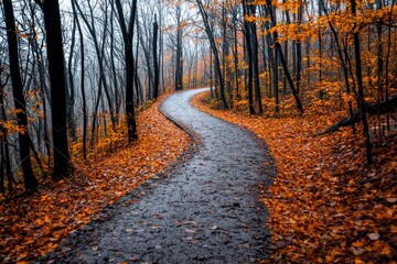 Fototapeta premium A rustic trail winding through a forest in fall, the ground entirely blanketed in orange and yellow leaves