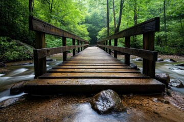 Fototapeta premium A rustic wooden bridge crossing a small, clear stream in the heart of a peaceful forest