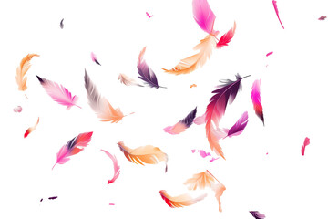 A whimsical display of colorful feathers gracefully floating in the air against a bright white background