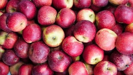 Close Up of Red Apples in a Bin
