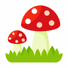 fly agaric amanita muscaria