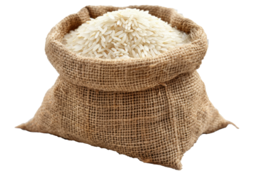 Sack filled with uncooked white rice resting on a plain surface, showcasing its texture and the natural color of the rice grains, ideal for culinary uses or grain storage