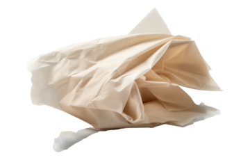 A neatly wrapped brown package with tissue paper partially poking out, suggesting recent delivery and anticipation of opening