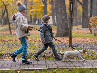 Fototapeta premium Brother and sister walk the dog in the park in autumn. Boy and girl running with jack russell terrier on a leash. 
