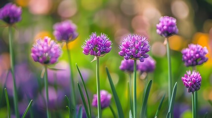 Purple bulb and flower structure in a meadow