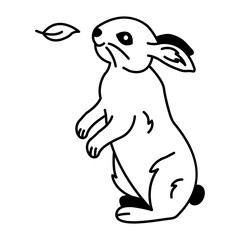 A cute rabbit character designed in drawing style 