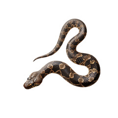 Fototapeta premium Snake isolated on transparent background. Generated AI