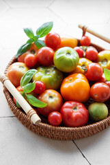 A vibrant assortment of fresh tomatoes in a woven basket on a kitchen countertop during late summer harvest