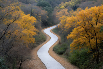 Fototapeta premium Winding path through a forest in autumn with vibrant yellow and orange leaves