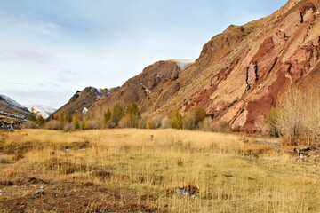 Scenic landscape featuring rocky hills, grassland, and sparse trees under a clear sky.