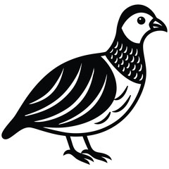 Cartoon-Style Quail Illustration for Whimsical Designs