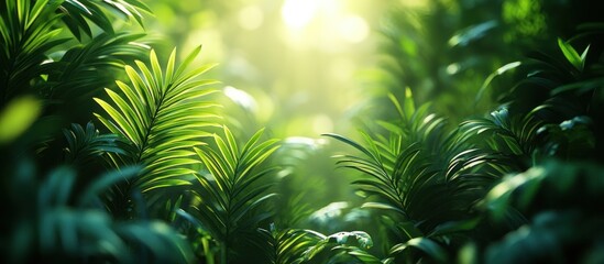 Sunlight Filtering Through Lush Green Foliage