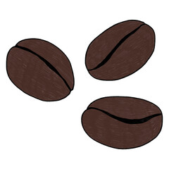 Coffee Bean Hand Drawn Illustration