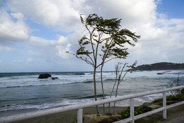 Stormy Mediterranean sea next to Forio, Ischia, Italy.