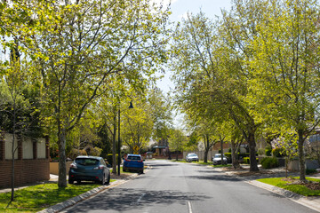 A tree-lined residential street in a suburban neighborhood in an Australian suburb features green leaves that create a canopy overhead, providing shade for the road, homes and parked family cars