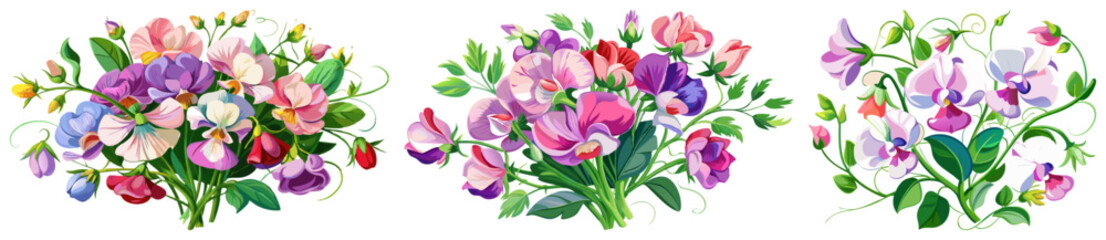 Obraz premium Elegant Sweet Pea Flower Illustration - Soft Pink and Red Petals with Lush Green Leaves, Ideal for Romantic and Spring Themes, Sweet Pea Flower vector Illustration, Sweet Pea vector Illustration