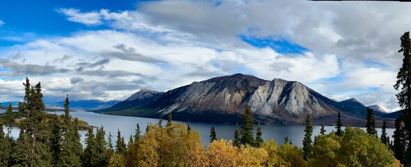 Fall Foliage, Yukon CA 
