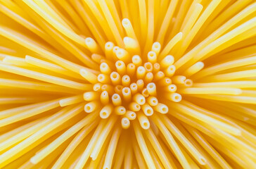 Close-up of  spaghetti is arranged in an octagonal pattern