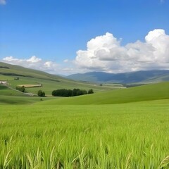 Obraz premium Beautiful environment landscape of green field cornfield or corn in Asia country agriculture harvest with sunset sky background.