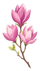 Elegant Magnolia Flower Illustration - Soft Pink Petals with a Touch of White, Ideal for Spring Themes and Botanical Art, Magnolia Flower Vector,  Magnolia Vector Illustration


