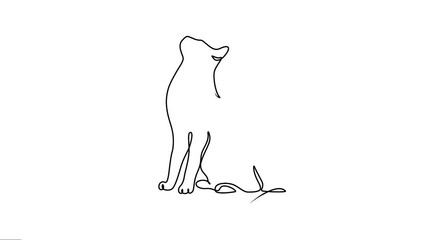 2 Cats animated continuous single-line drawings. Pet animals’ animation Line art. Pussy cats motion graphics. 