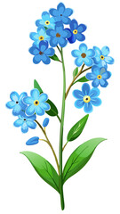 Fototapeta premium Charming Forget-Me-Not Flower Illustration - Delicate Blue Blooms with Yellow Centers, Perfect for Spring and Botanical Art, Forget-Me-Not Vector Illustration, Forget-Me-Not Flower Vector