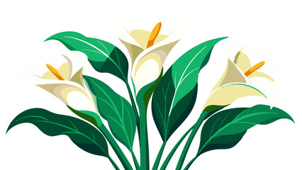 Elegant Calla Lily Vector Illustration - Sleek White Flower with Vibrant Yellow Spadix and Lush Green Leaves, Perfect for Weddings and Decor, Calla Lily Illustration