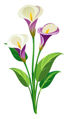 Elegant Calla Lily Vector Illustration - Sleek White Flower with Vibrant Yellow Spadix and Lush Green Leaves, Perfect for Weddings and Decor, Calla Lily Illustration