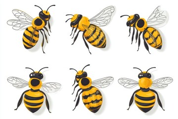 A set of Honeycomb bee animal insect isolated on white background