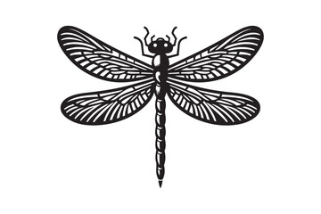 Dragonfly vector art silhouette illustration