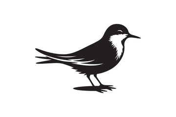 Tailor bird vector art and illustration