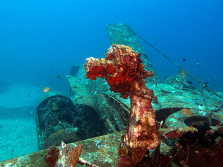 Tri-Bird airplane wreck Boracay Island Philippines