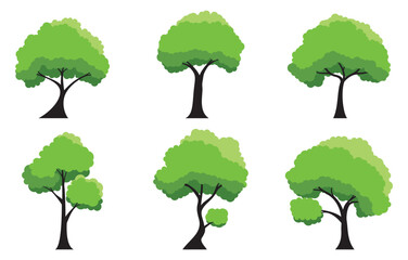 Collection of tree isolated on a white background. Each species of trees. A tree with green leaves. Nature or healthy lifestyle topics. Vector illustration flat design style