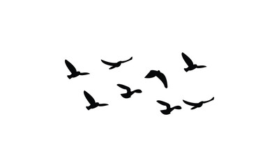 Flying Birds Vector Illustration Collection. 