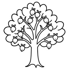 Obraz premium oak acorns doodle outline coloring book page line art drawing