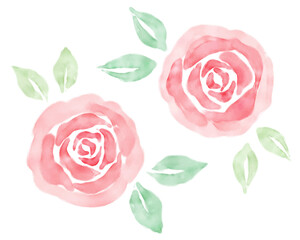 水彩のバラのイラスト　手描き　水彩画