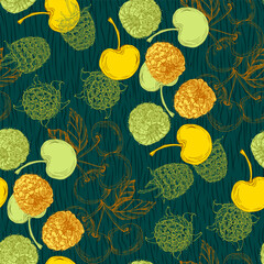 Seamless Pattern with raspberry and cherry. Color sketch style hand drawn background. Detailed illustration, hand drawn. Great for fabric and textile, prints, invitation, packaging